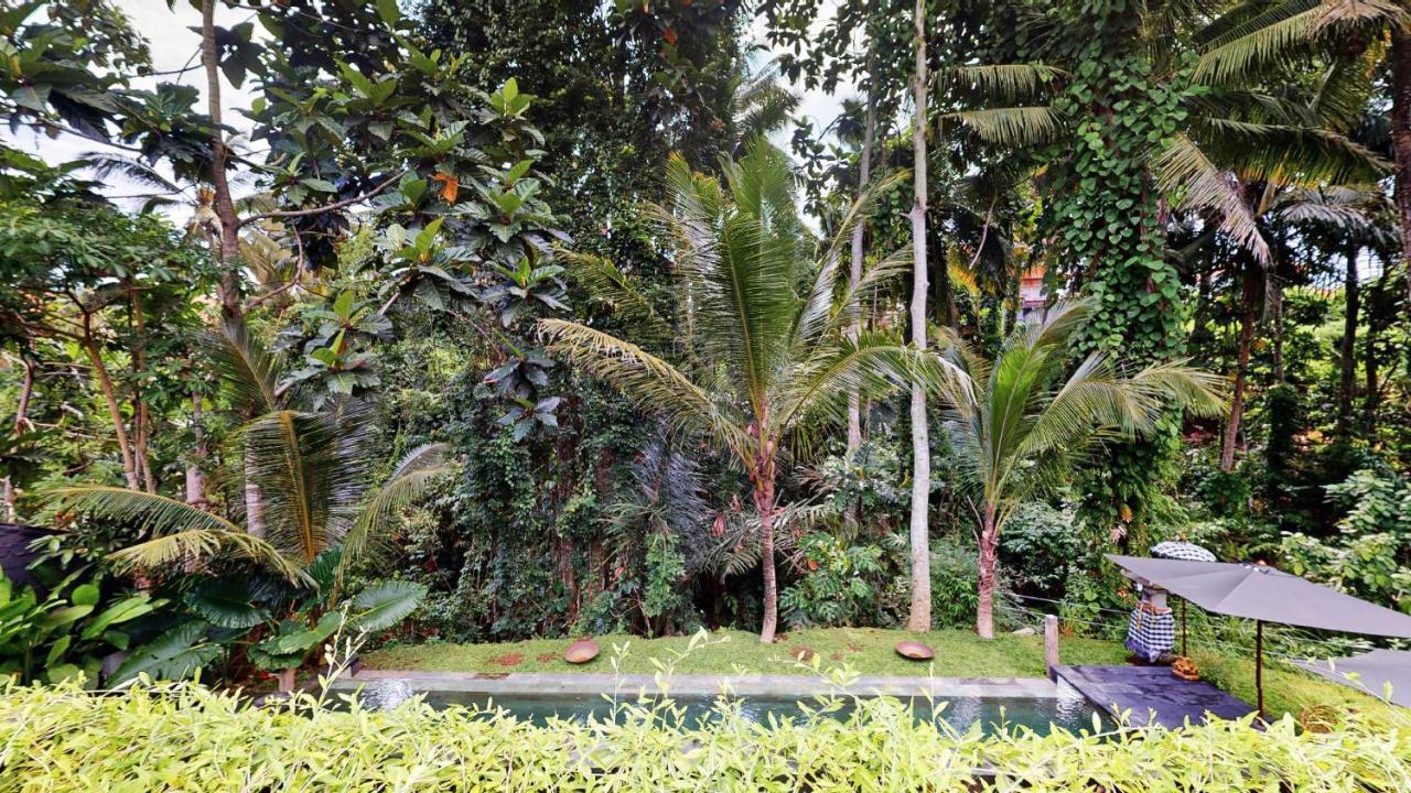 Hotel Six Cubes Ubud (Bali)