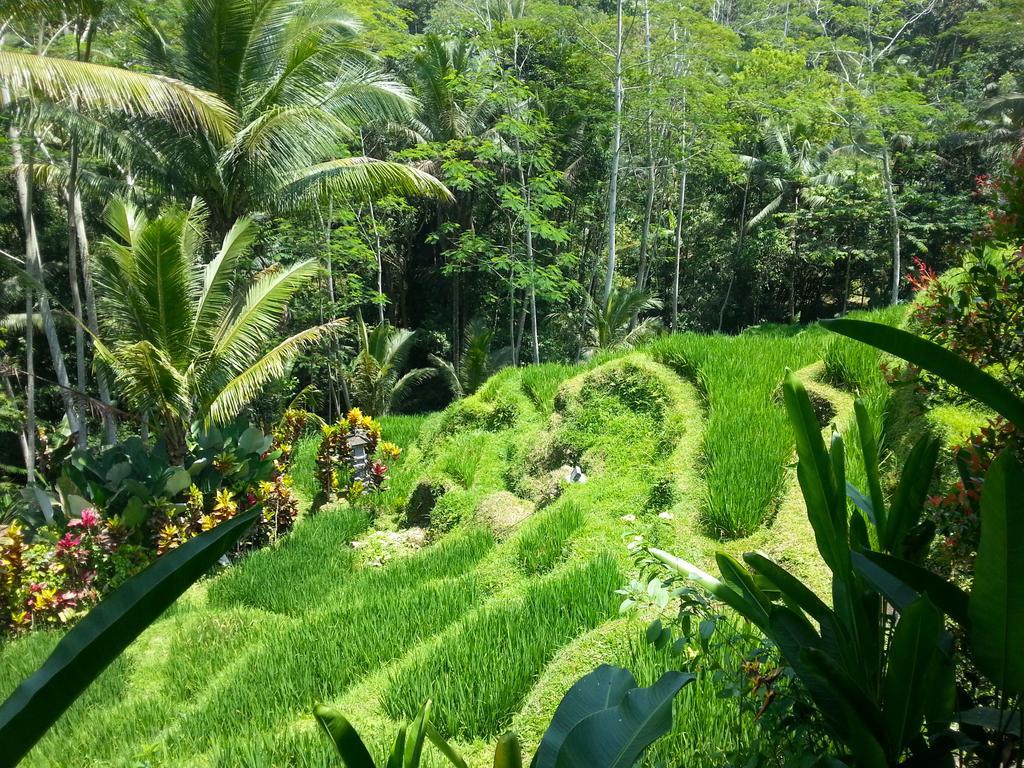 Amrita Villa Ubud