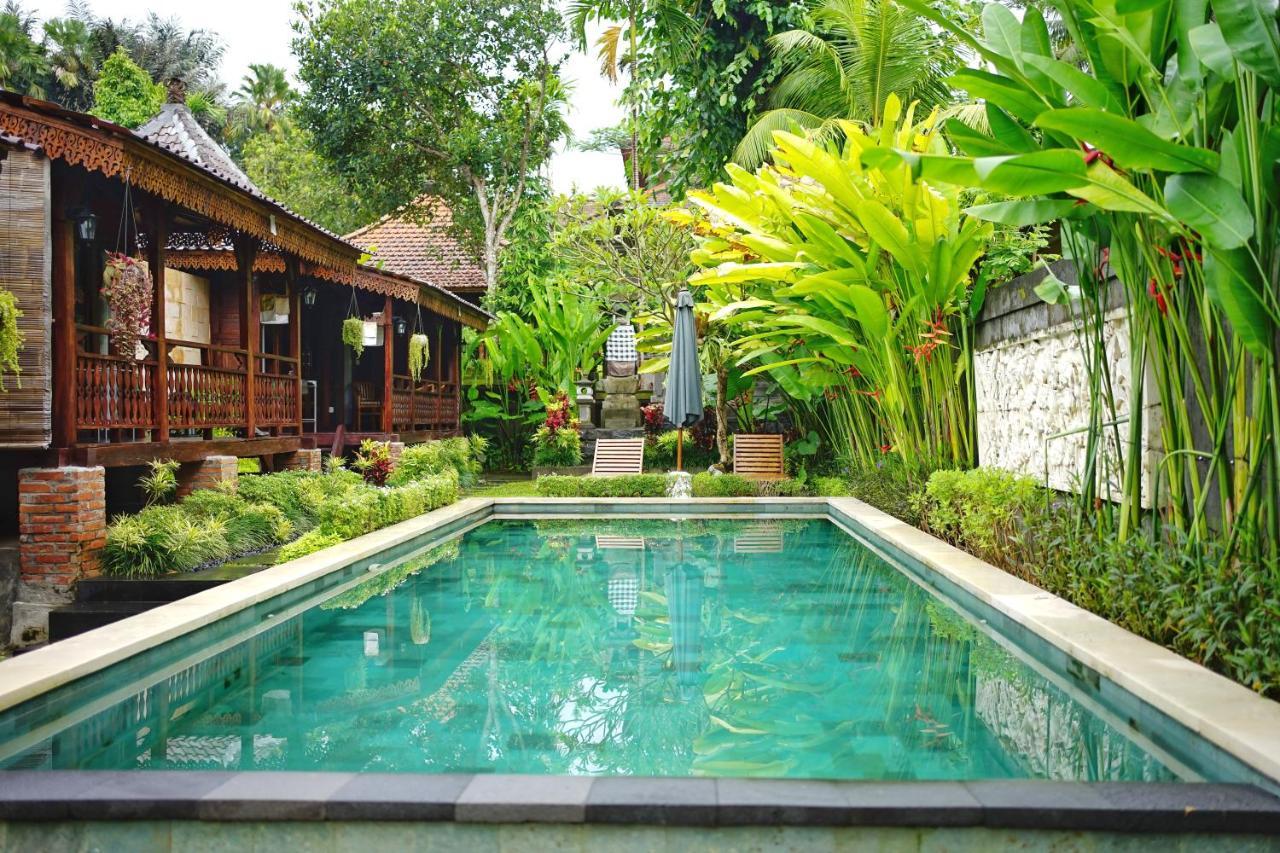 Ari Guest house