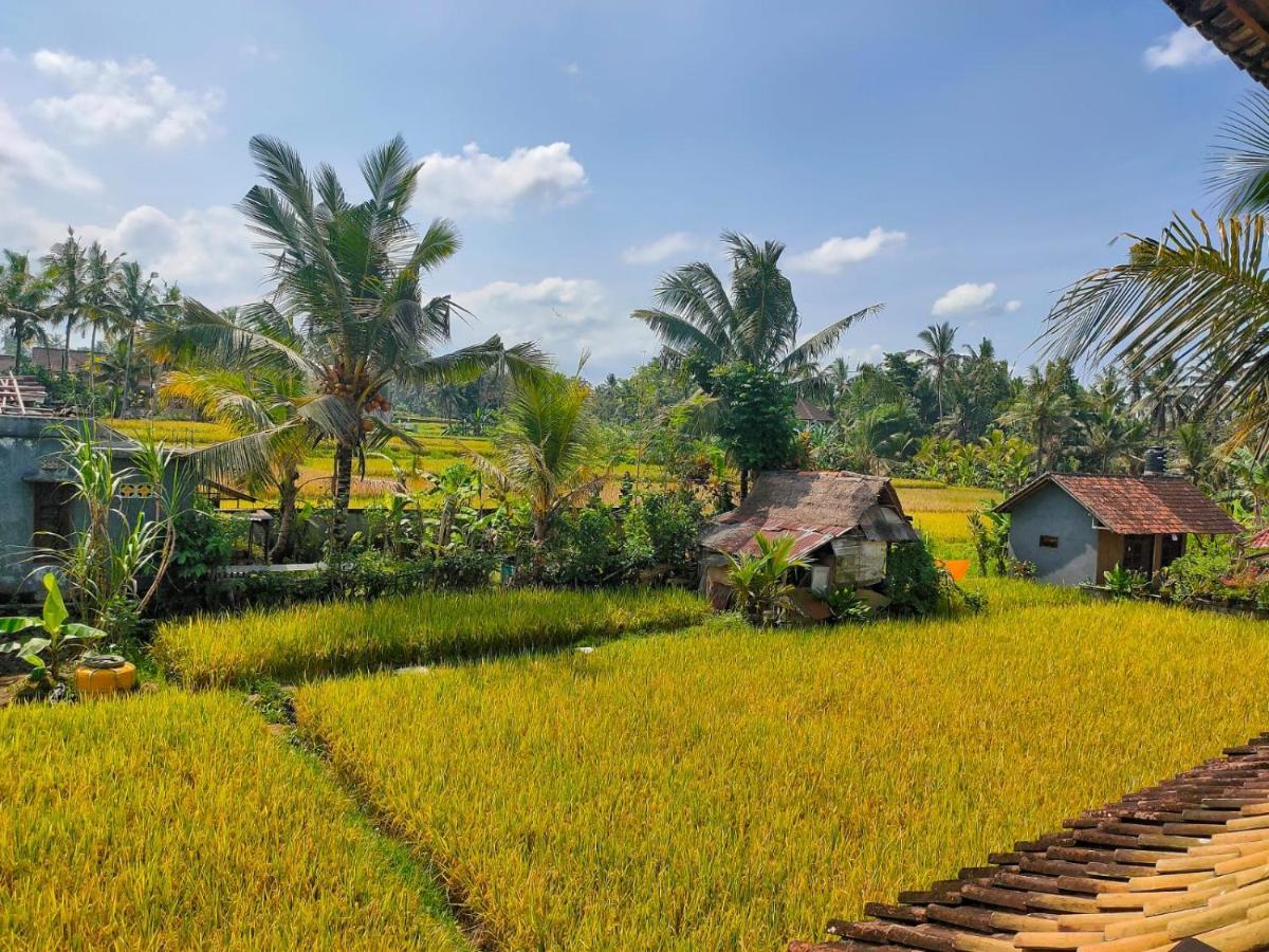 Yogaunion Earth Guest house Ubud (Bali)