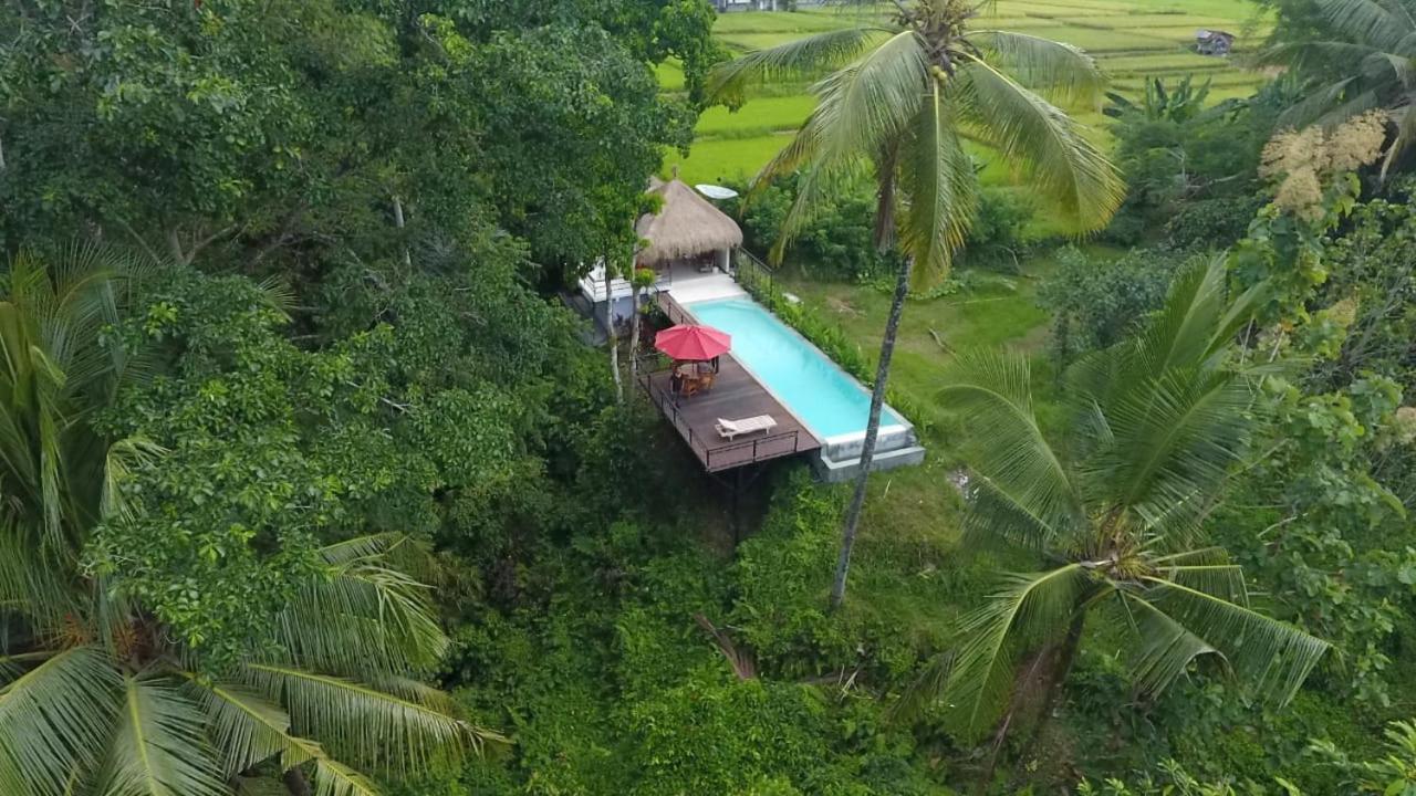 Luxery Family Giri Ubud (Bali)