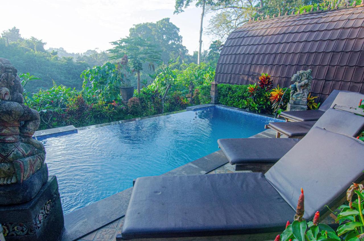 Villa Big Tree House