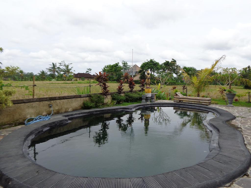 Guest house Laksmi Ecottages Ubud (Bali)