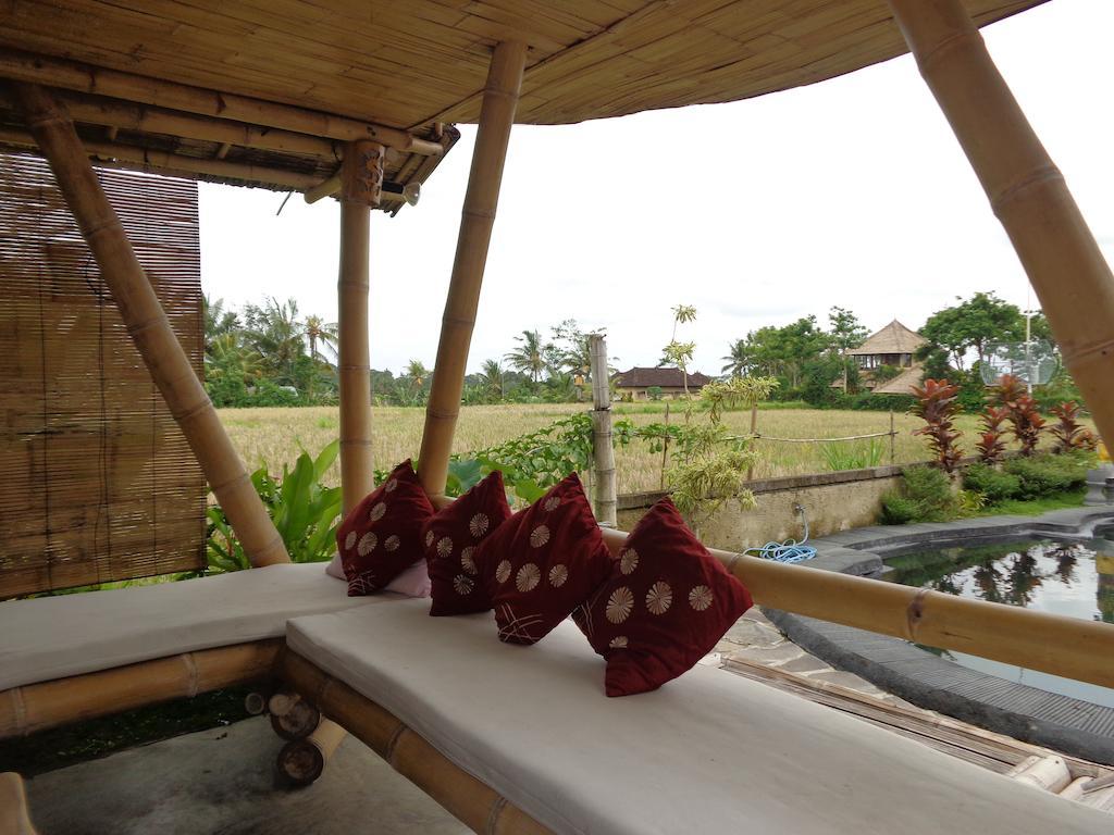 Laksmi Ecottages Guest house 2*