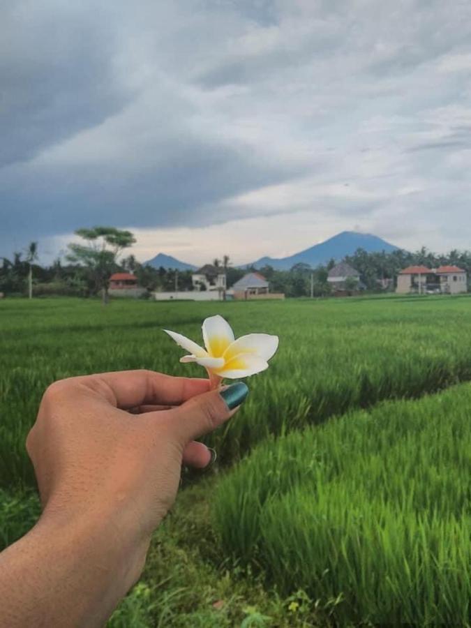 Bed & Breakfast Svaha Ubud Ubud (Bali)