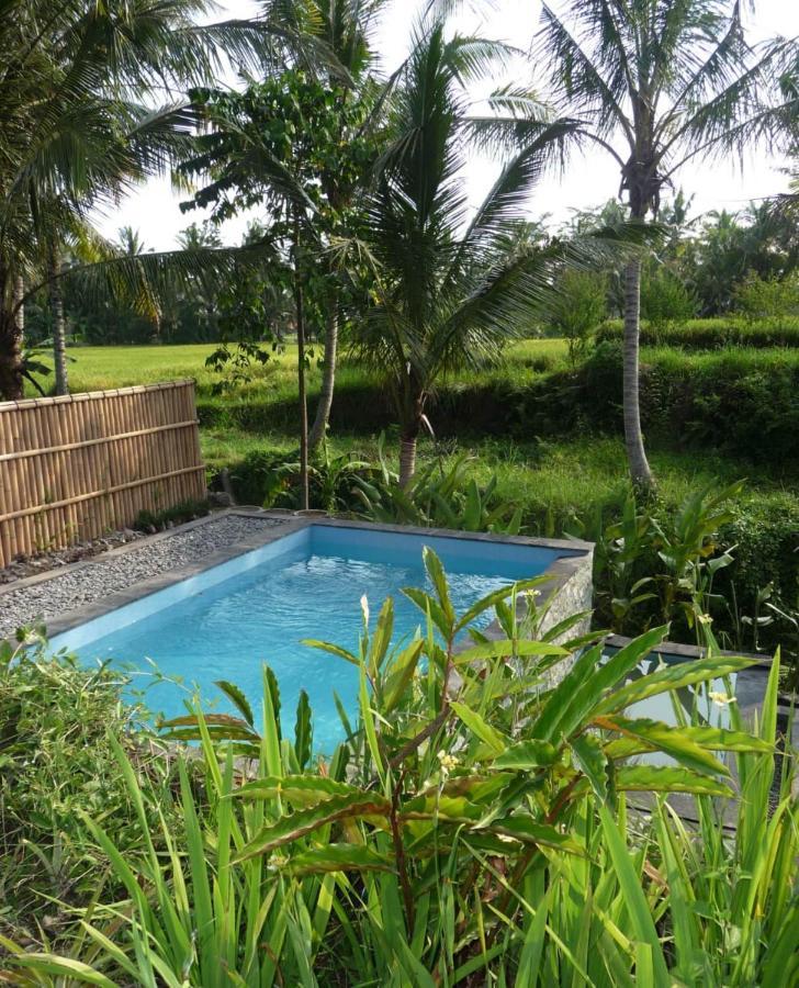 Kishi-kishi 4* Ubud (Bali)