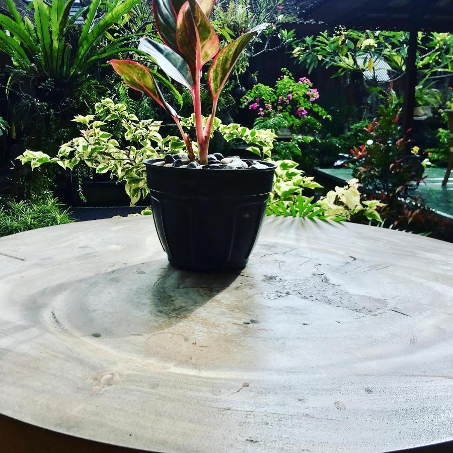 Wina Gasthof Ubud