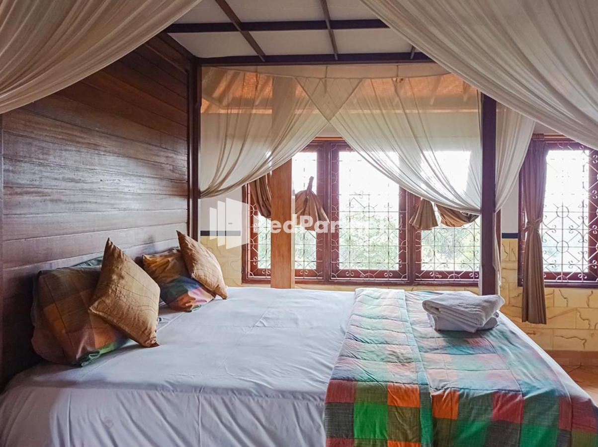 Homestay Nando House