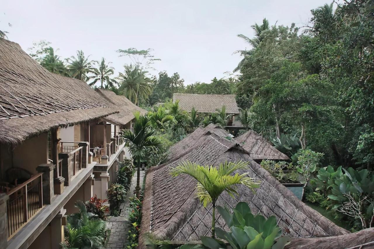 The Kanjeng