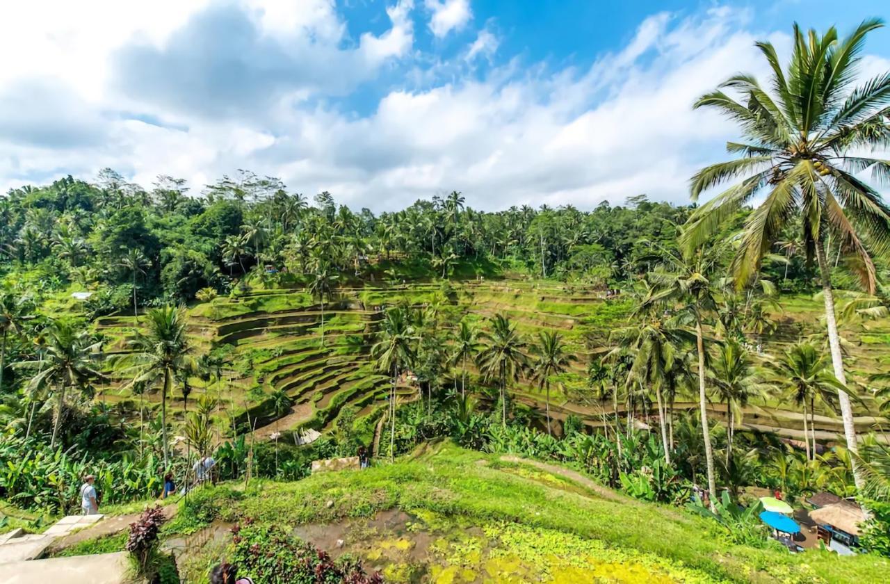 The Kanjeng Ubud (Bali)