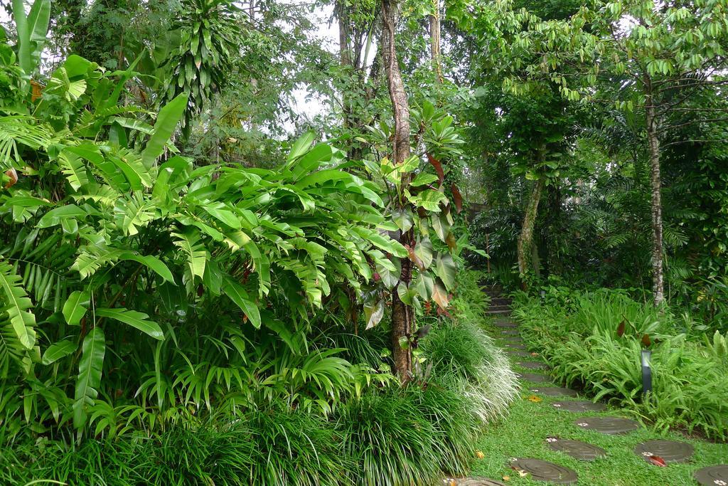 Umah Shanti * Ubud (Bali)