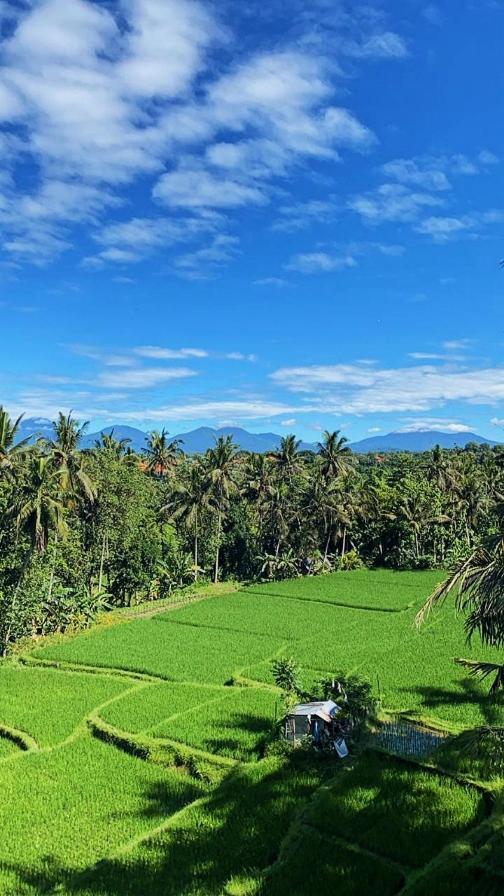 Nirwa Karma 2* Ubud (Bali)
