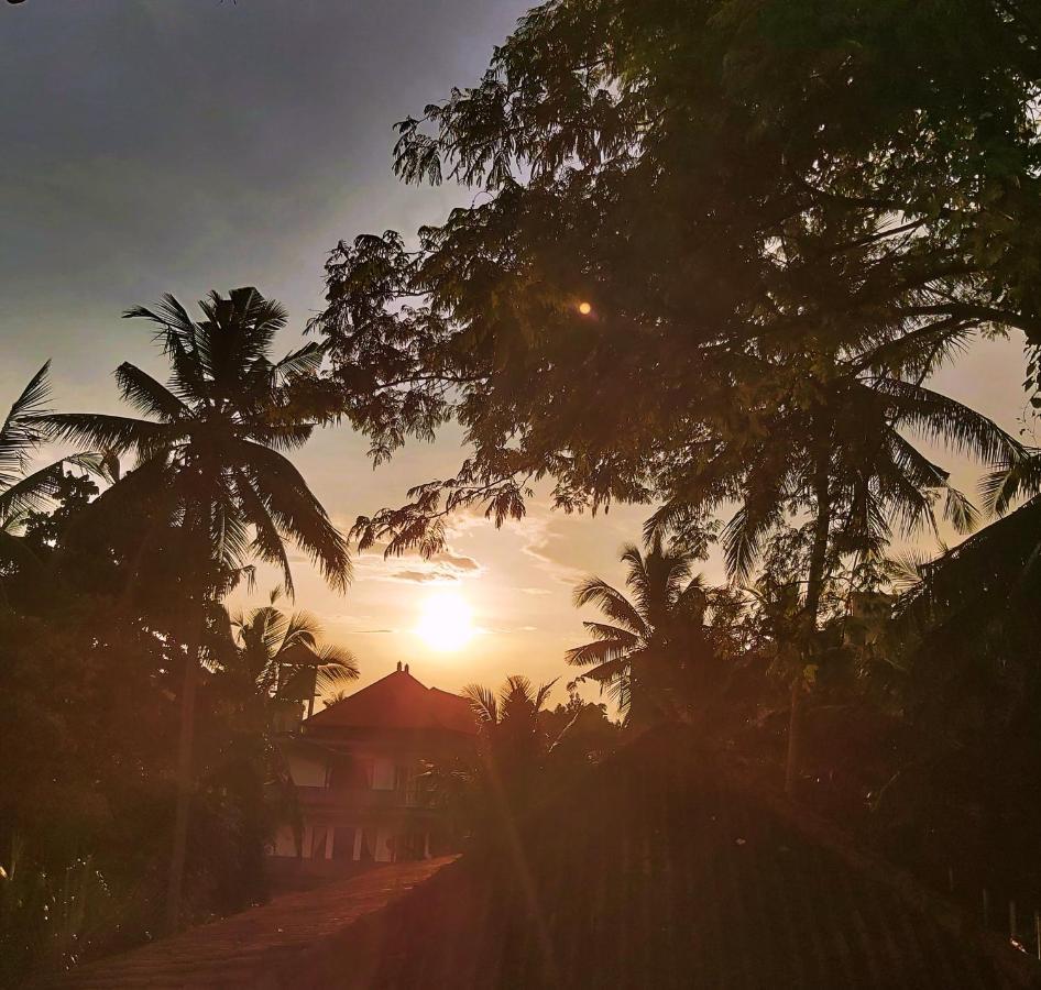 Danaya'S Cottage And Studio Ubud