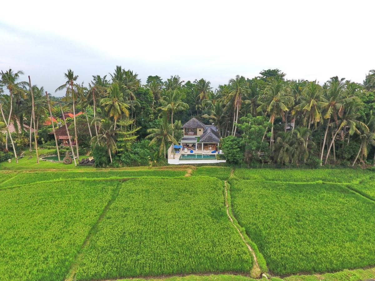 Balinese * Ubud (Bali)