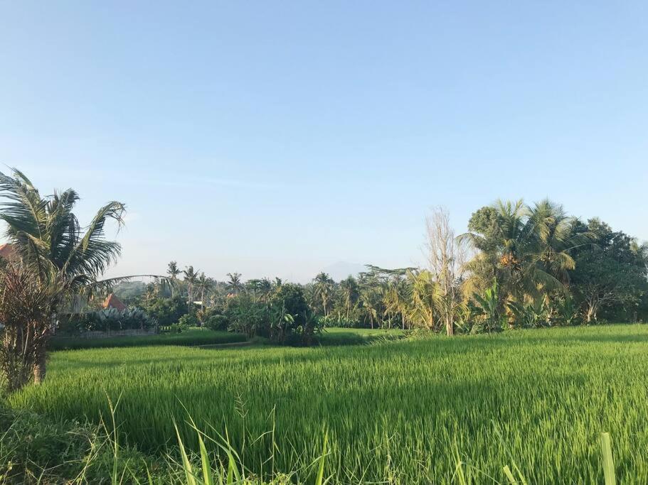 Wos Villa Ubud (Bali)