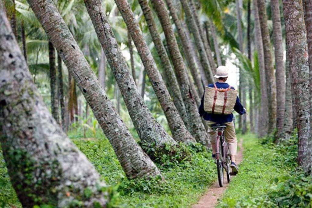 Wos Ubud (Bali)