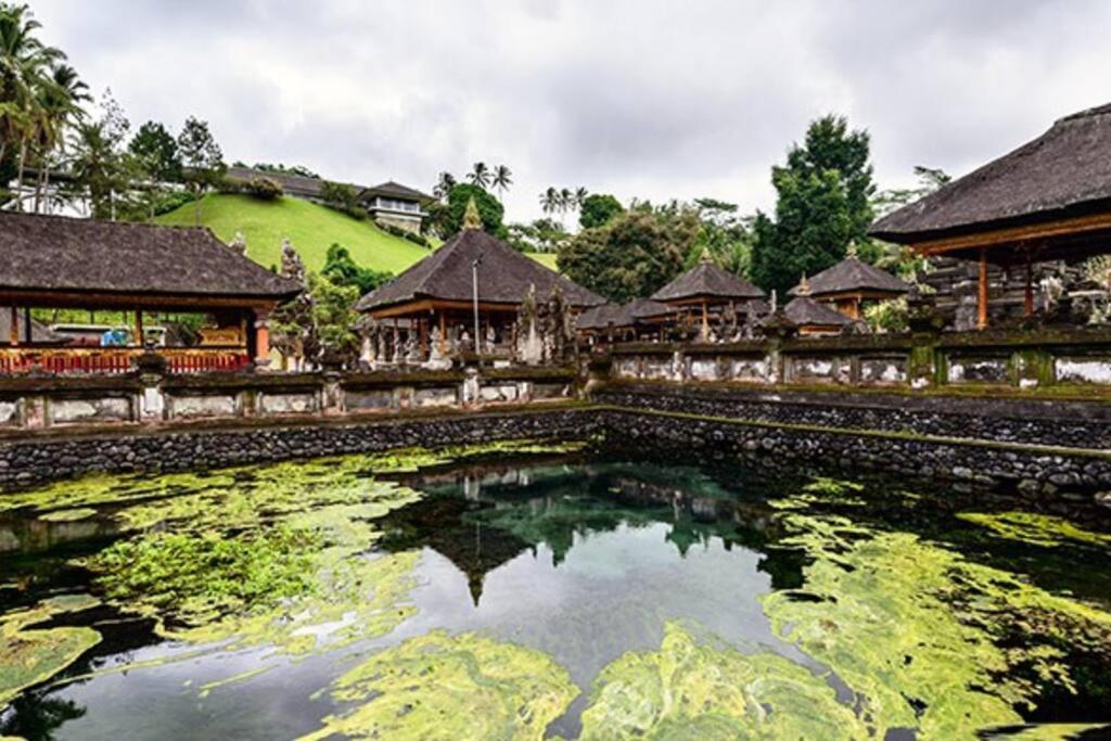 Wos * Ubud (Bali)