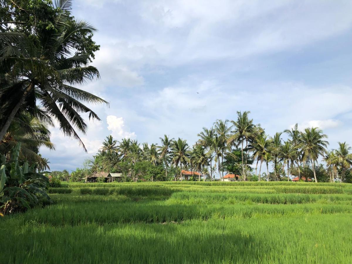 Sweet Orange Ubud