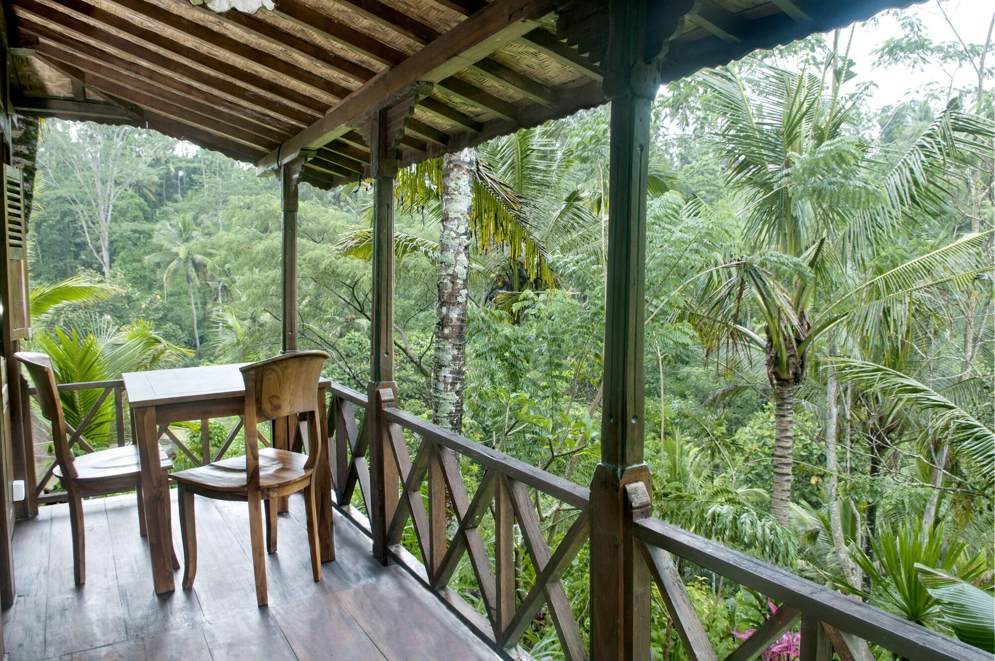 Hotel Dd Jungle