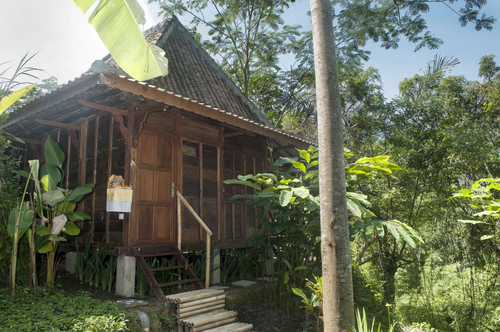 Dd Jungle Ubud (Bali)