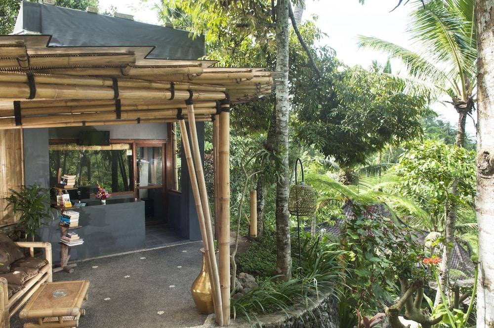 Dd Jungle Hotel Ubud (Bali)