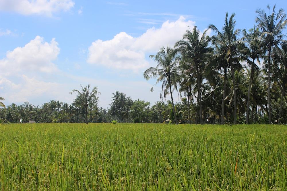 Hening Bali * Ubud (Bali)