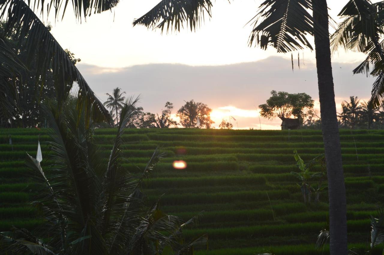 Homestay Serenity Private Mas