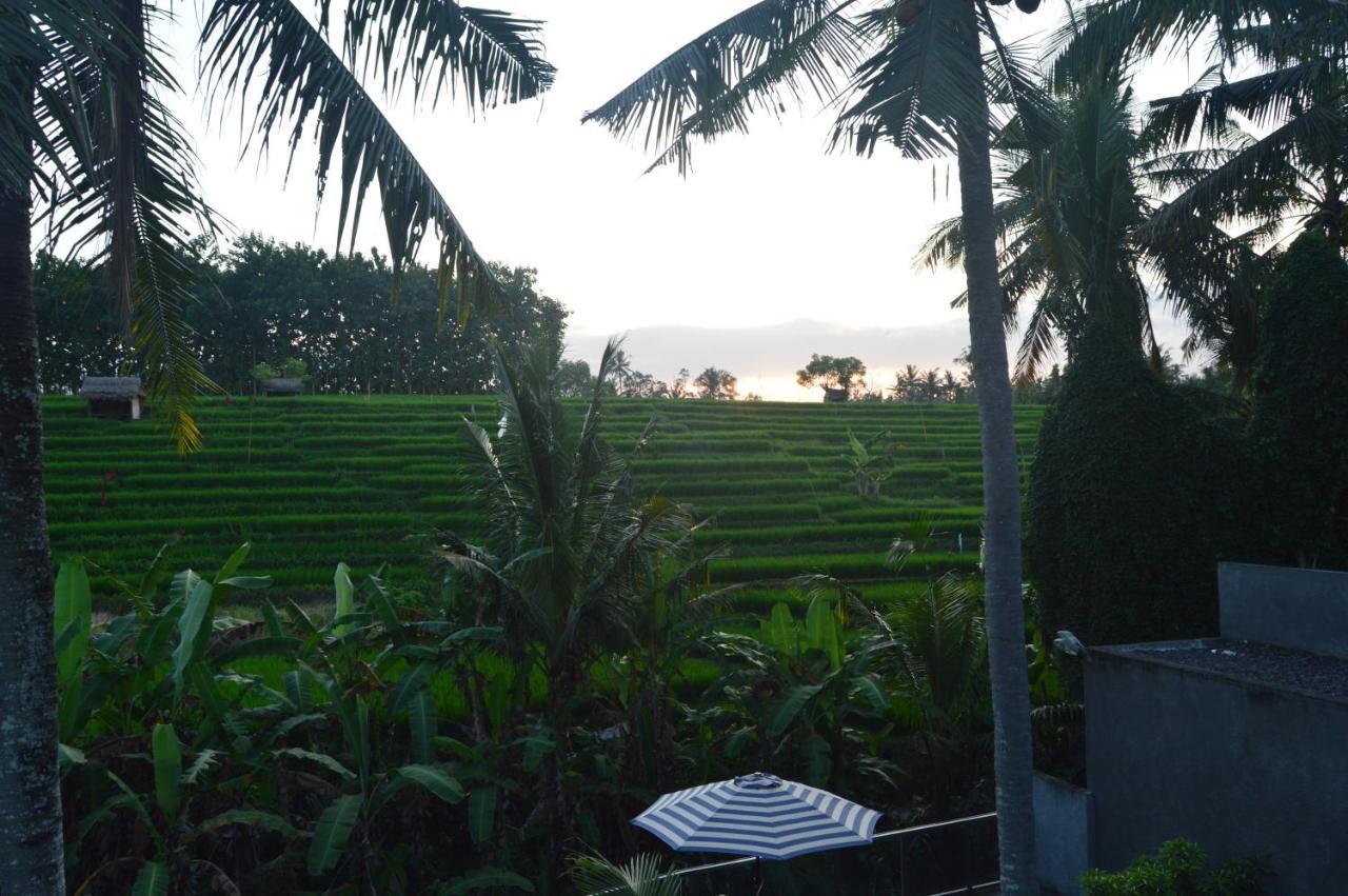 Serenity Private Mas