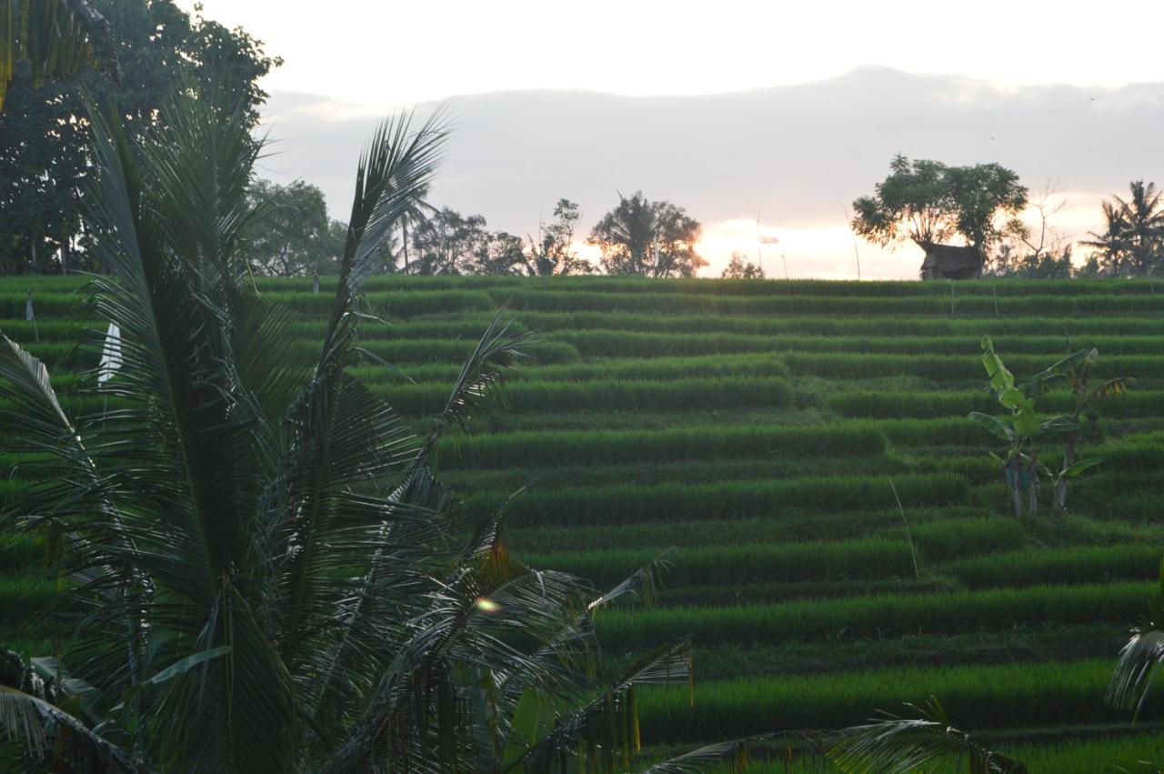 Homestay Serenity Private Mas