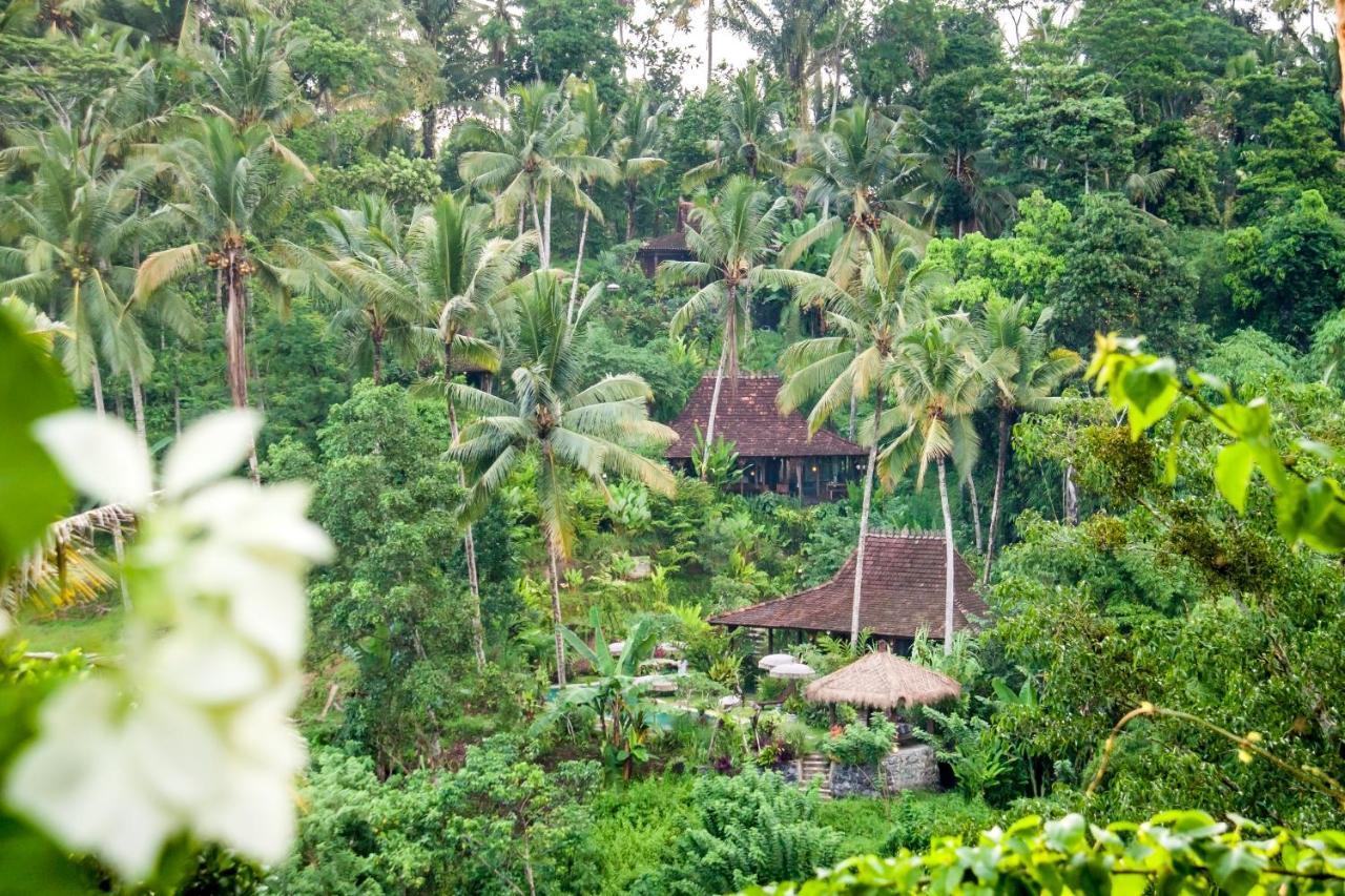 Ferienhaus Mahadevi Jungle Retreat Joglo 1 *