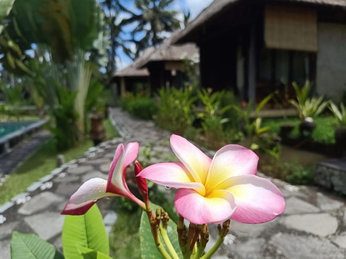 Campo de férias Taman Bintang 4*