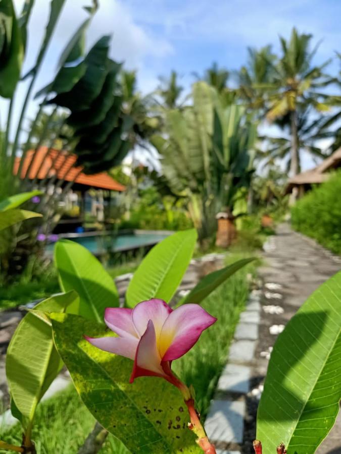 Taman Bintang Campo de férias 4*