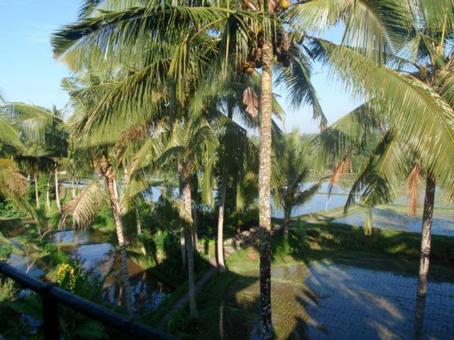 Guest house Toko Toko Ubud (Bali)