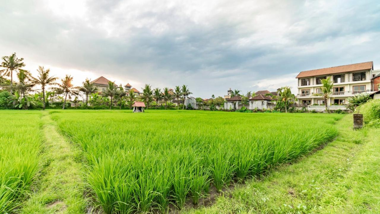 Juli House By Mahaputra Guest house 3*