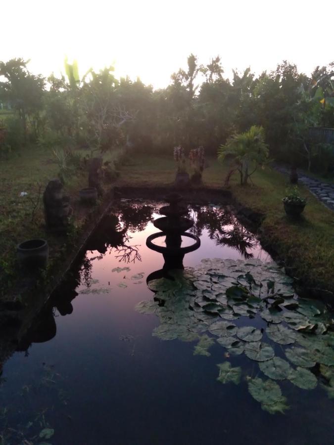 Campo de férias Taman Bintang