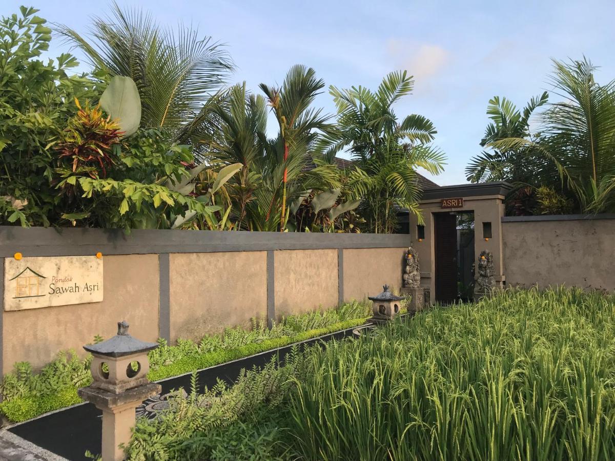 Pondok Sawah Asri Ubud