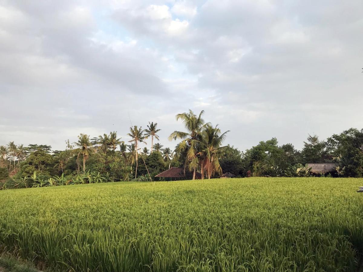 Lod Villa Ubud (Bali)