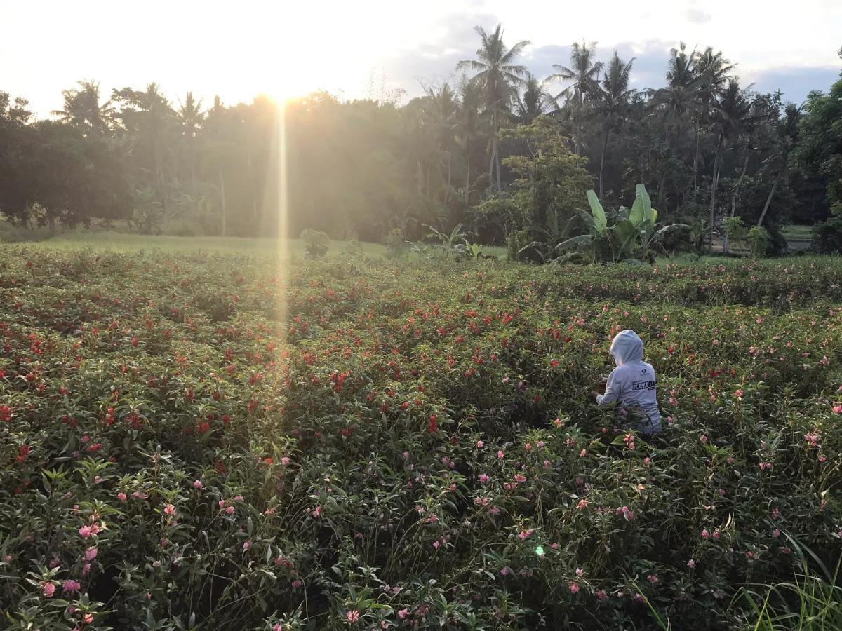 Villa Lod Ubud (Bali)