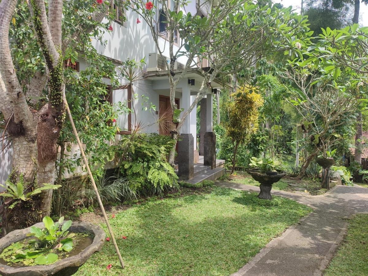 Nyoman Ubud (Bali)