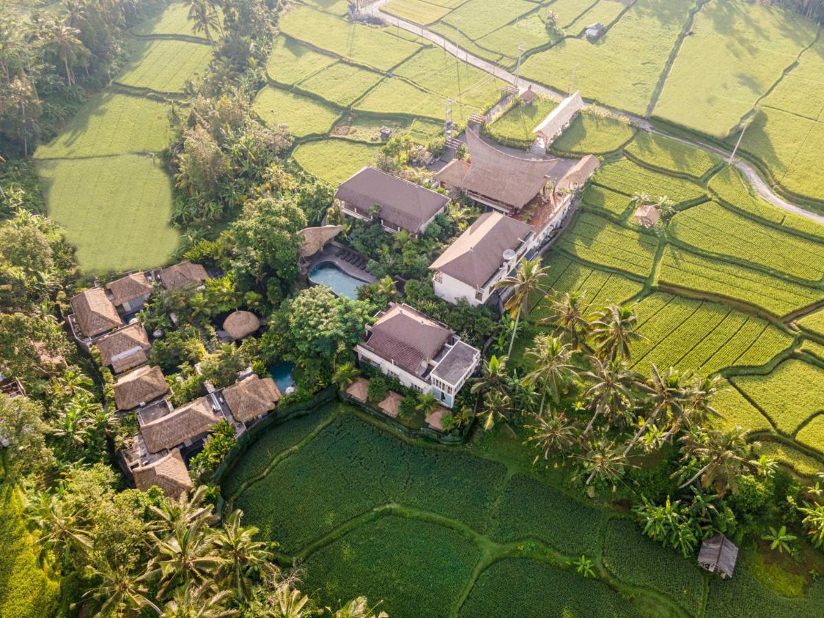 The Sun Of Granary And Ubud