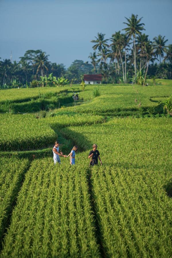 Resor The Sun Of Granary And Ubud (Bali)