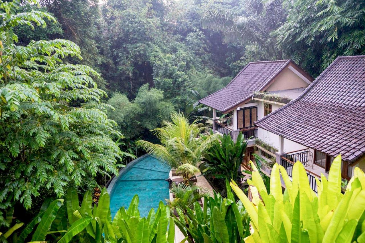 Gasthof Jungle Haven