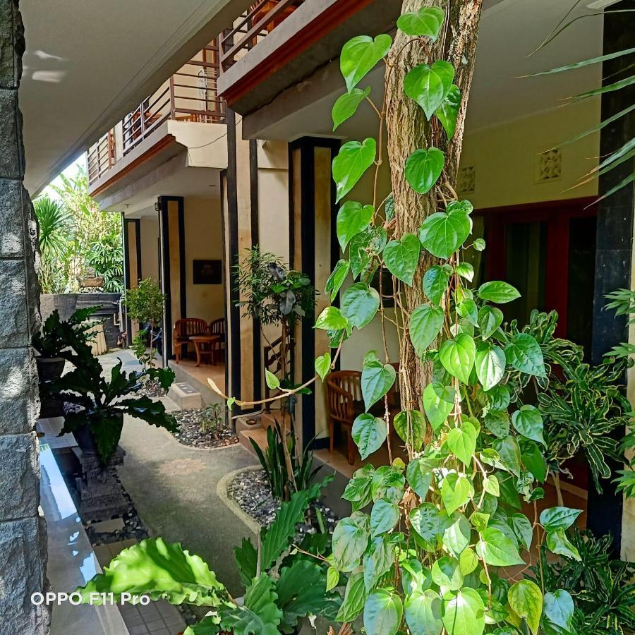 Pak'vo'house Guest house