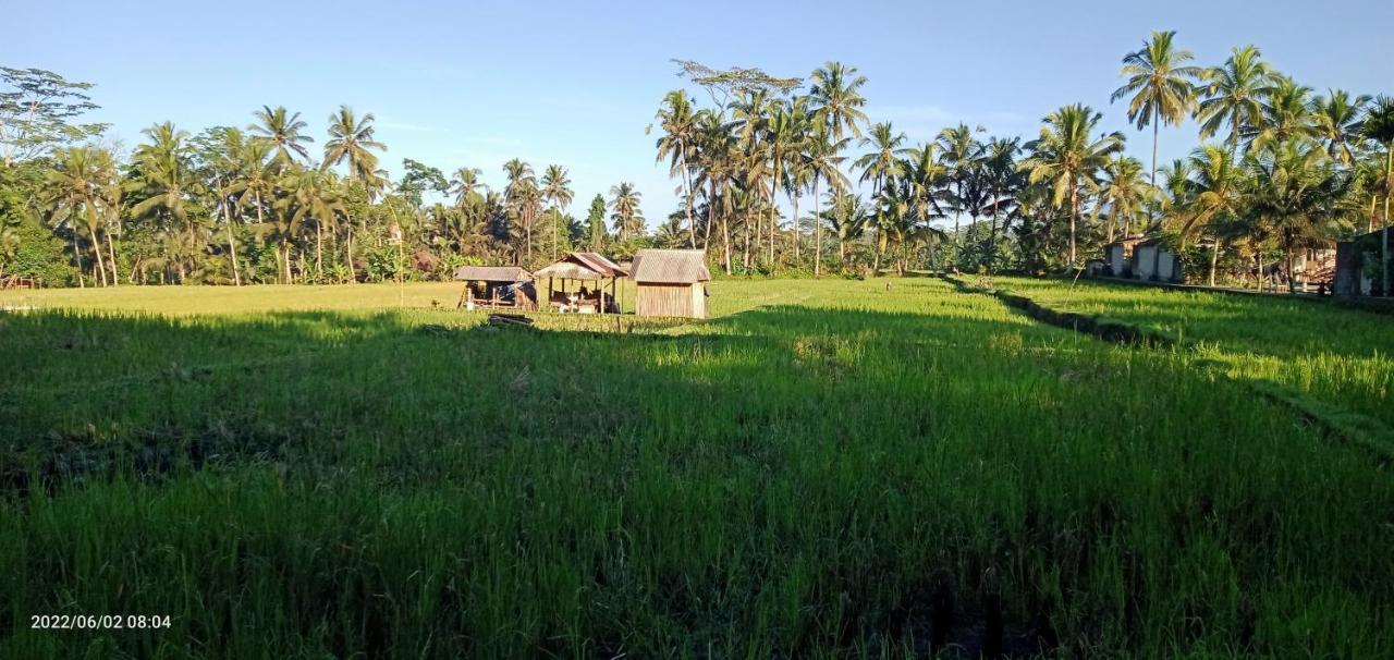 Leke Leke House Tegallalang Lodge *