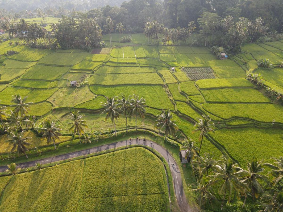 The Sun Of Granary And Resort Ubud