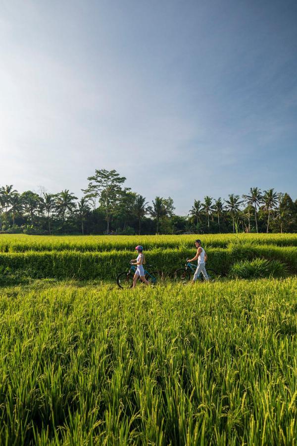 Resor The Sun Of Granary And Ubud (Bali)