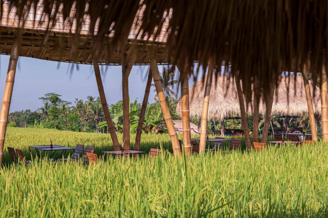 Resor The Sun Of Granary And Ubud (Bali)