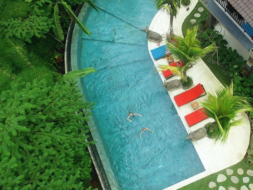 Gasthof Jungle Haven Ubud