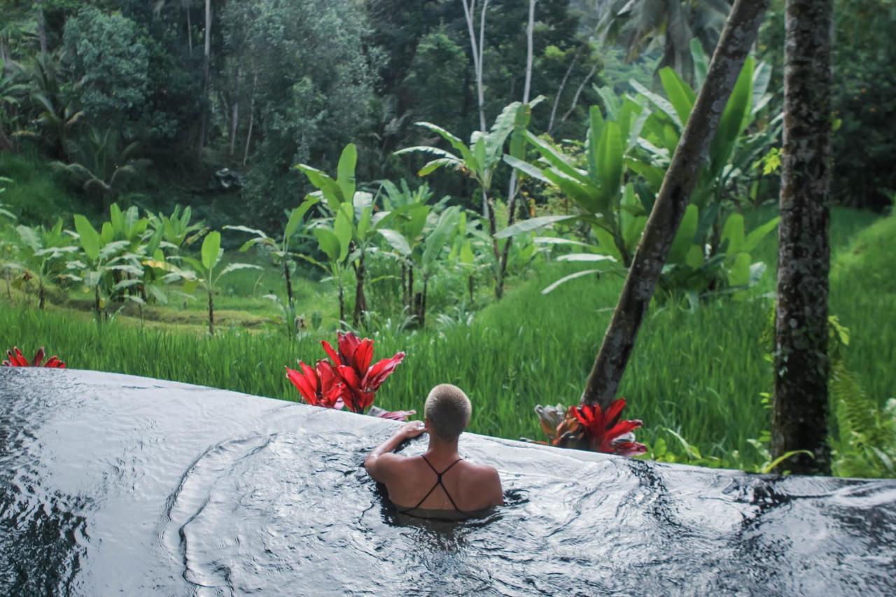 Gasthof Masakali Retreat