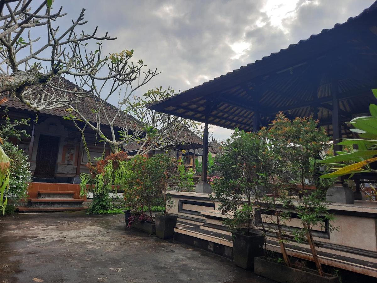 Accommodatie bij particulieren Darta House *
